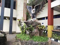 Regular School Program Nomor Home Photo 1
